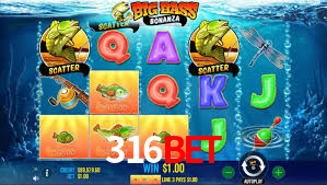 316bet.com